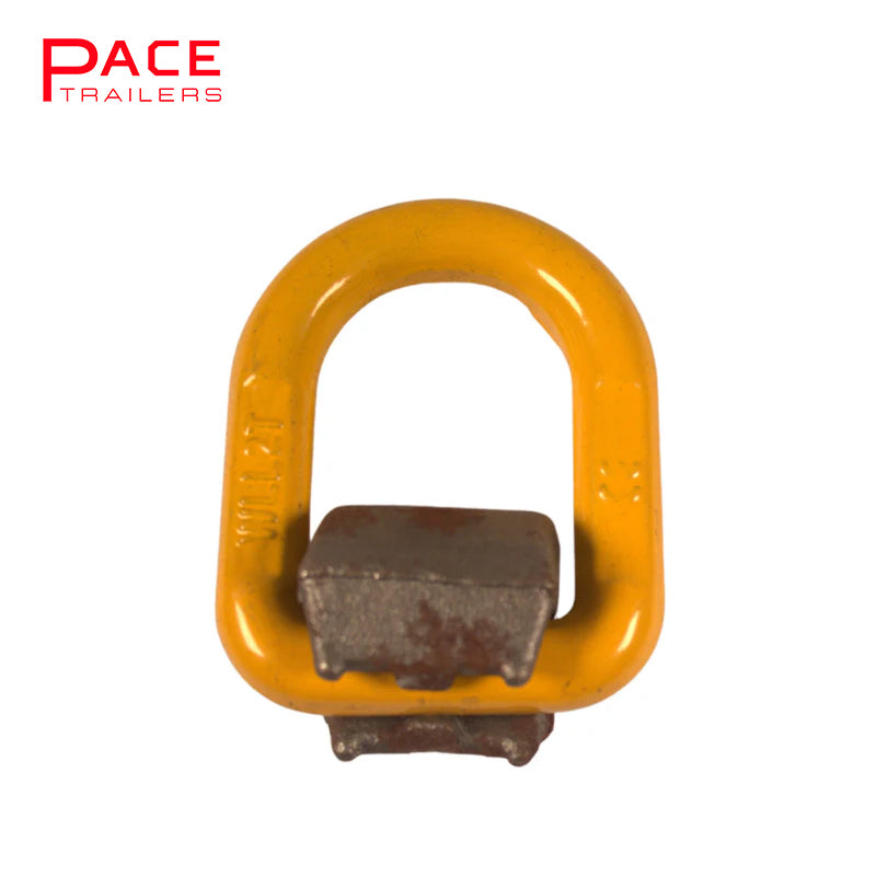 HAMMERLOCKS/ D RINGS