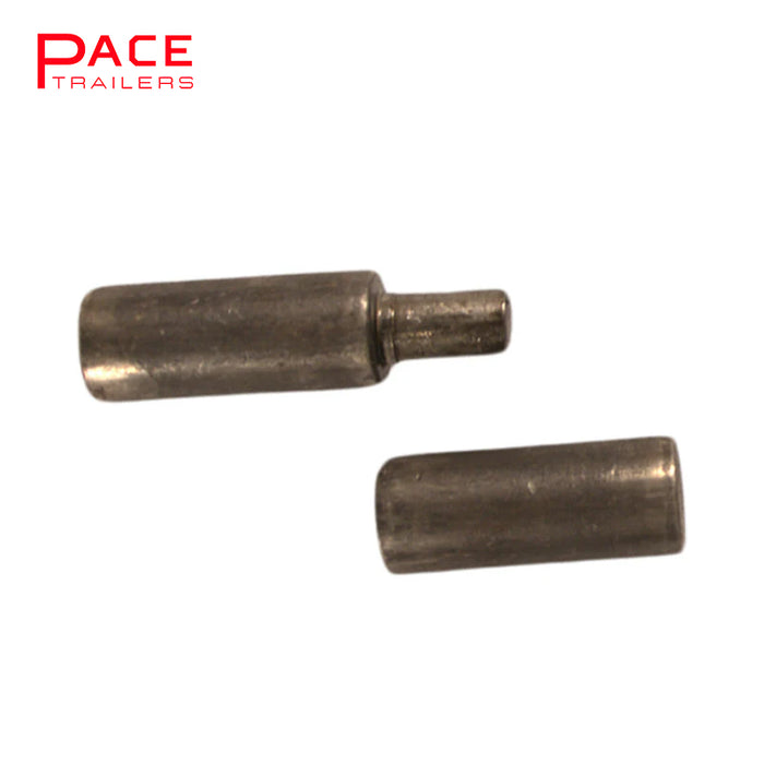Pin Hinge Jumbo 36x120mm
